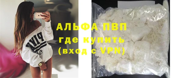 ешки Богданович