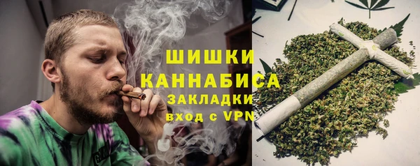 сатива Богородск
