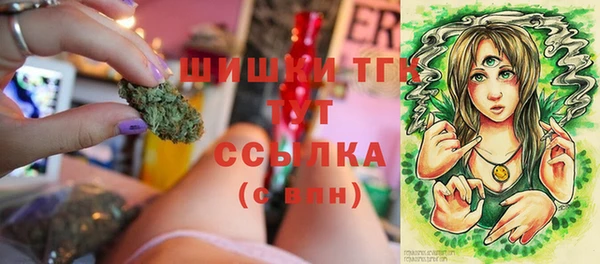 сатива Богородск