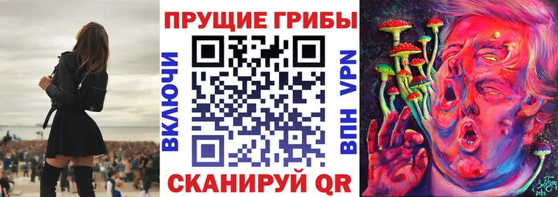 Галлюциногенные грибы прущие грибы  где купить наркотик  Яранск 
